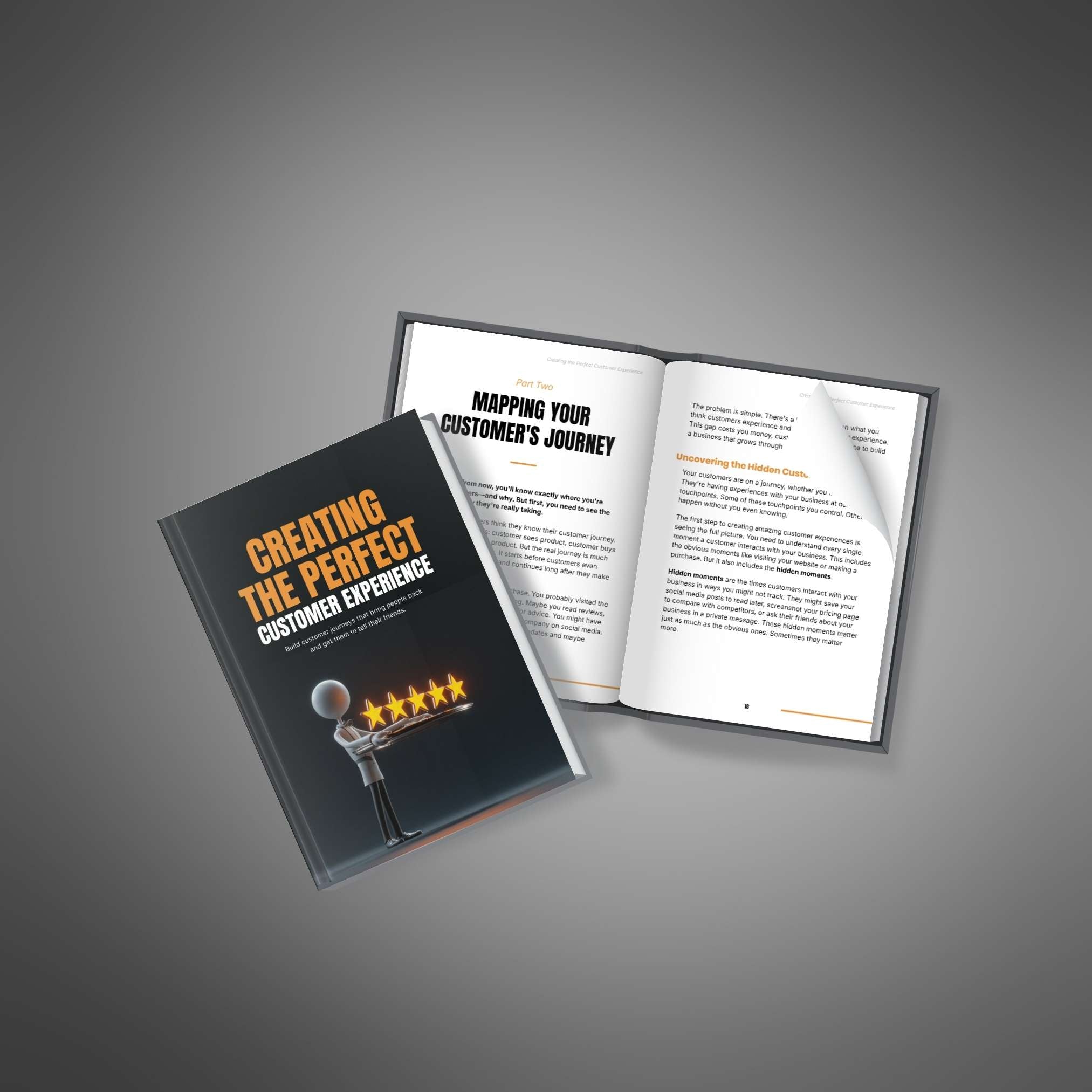 Creating the Perfect Customer Experience